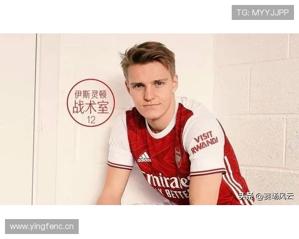 厄德高是否仅适配特定战术体系